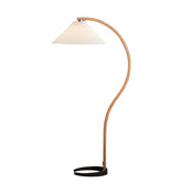 Caprani Floor Lamp - NexioPick