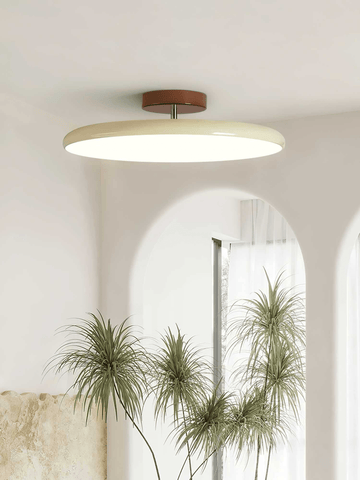 Drift Adjustable Ceiling Lamp - NexioPick