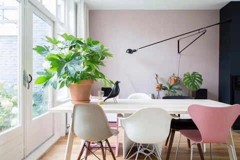 Model 265 wall light - NexioPick