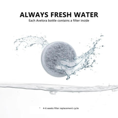 2-in-1 Pet Water Bottle & Food Container – Choose Your Size: 10oz or 19oz Portable Dispenser with Carbon Filter