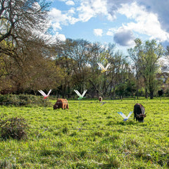 3D Fake Dragonfly Clips – 8-Pack Outdoor Garden Decor with Stainless Steel Clips