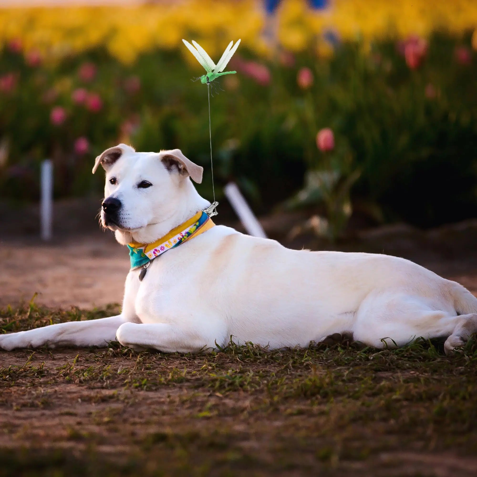 3D Fake Dragonfly Clips – 8-Pack Outdoor Garden Decor with Stainless Steel Clips