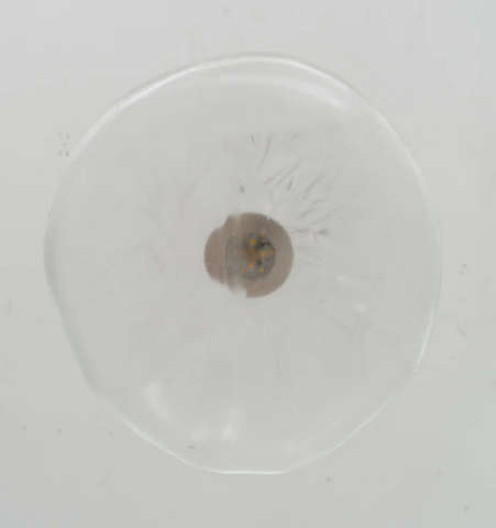 73 Random Glass Pendant Light - NexioPick