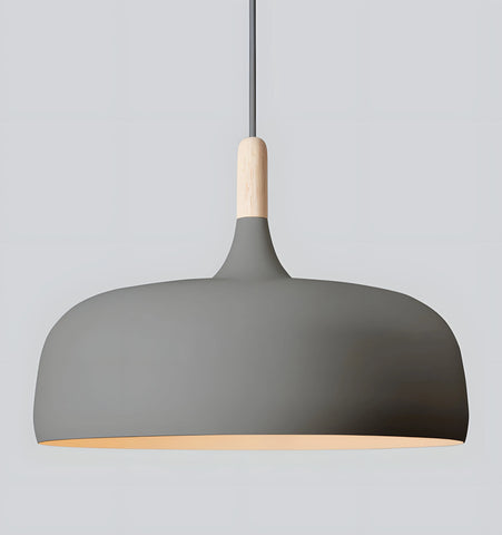 Acorn Pendant Lamp - NexioPick