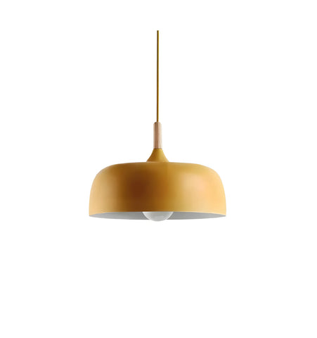 Acorn Pendant Lamp - NexioPick