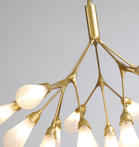 Aiwen Chandelier - NexioPick