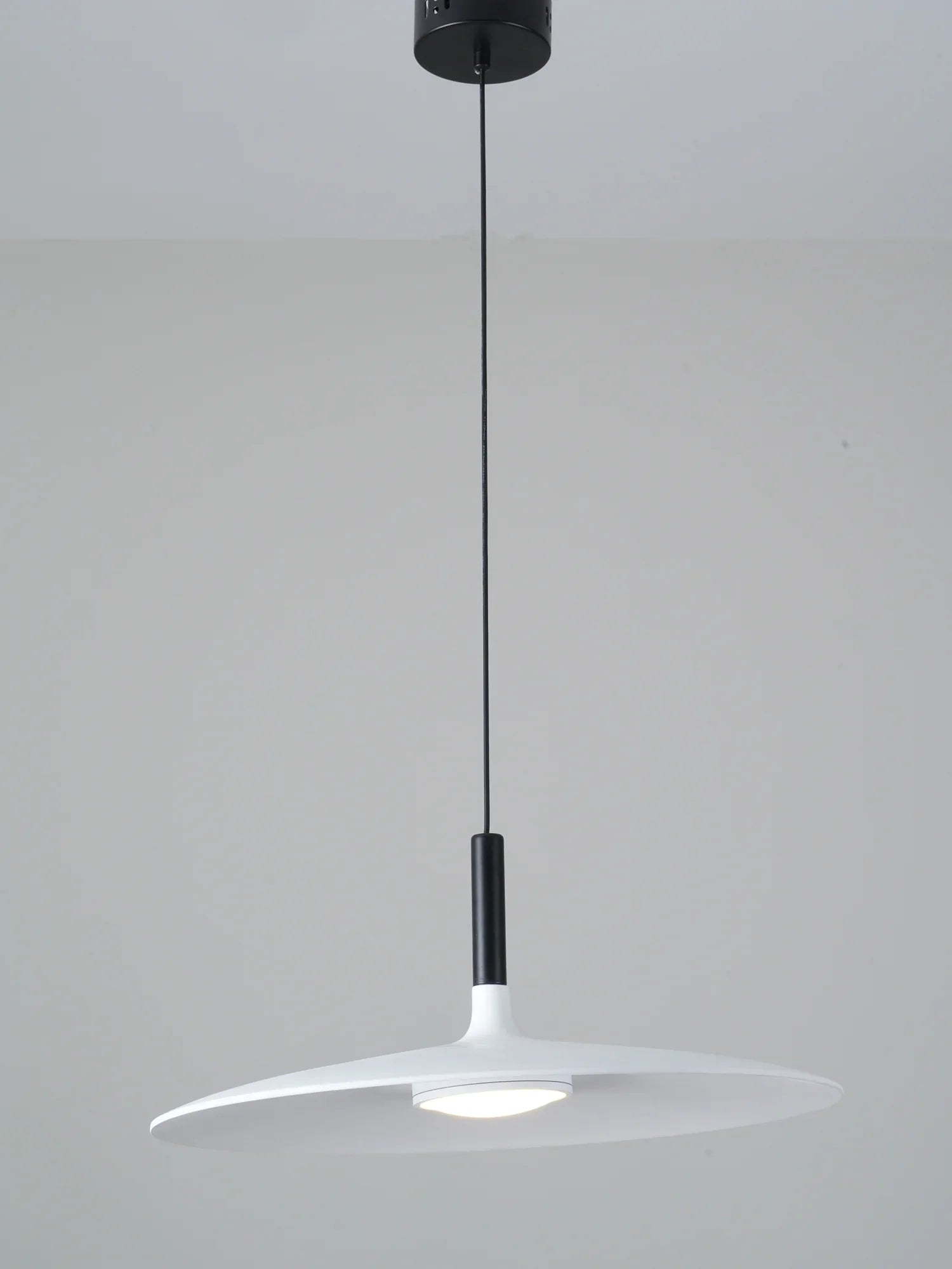 Aplomb Pendant Lamp - NexioPick