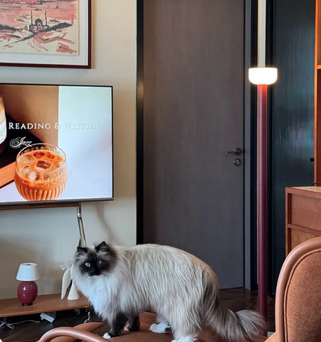 Bellhop Floor Lamp - NexioPick