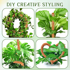 3-Pack Bendable Moss Pole Set – Adjustable Coco Coir Plant Support for Monstera, Pothos & Philodendron