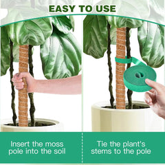 3-Pack Bendable Moss Pole Set – Adjustable Coco Coir Plant Support for Monstera, Pothos & Philodendron