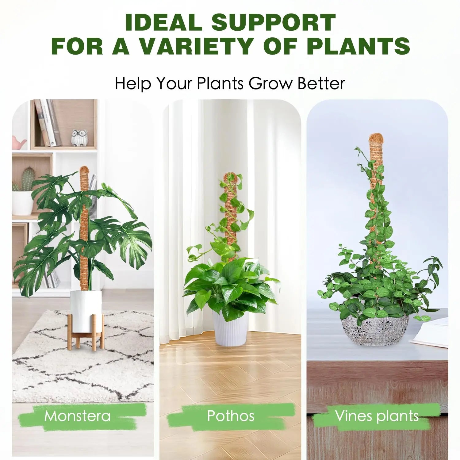 3-Pack Bendable Moss Pole Set – Adjustable Coco Coir Plant Support for Monstera, Pothos & Philodendron