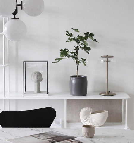 Blossi Table Lamp - NexioPick