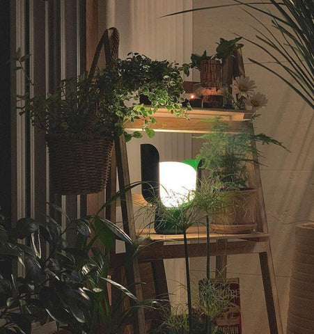 Bolm Table Lamp - NexioPick