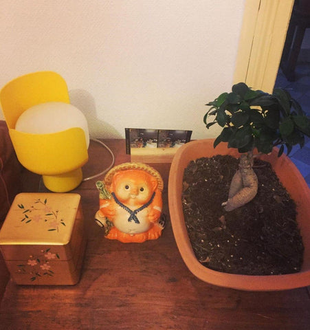 Bolm Table Lamp - NexioPick