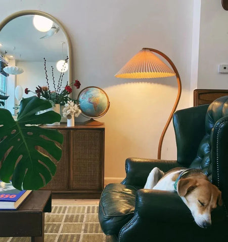 Caprani Floor Lamp - NexioPick