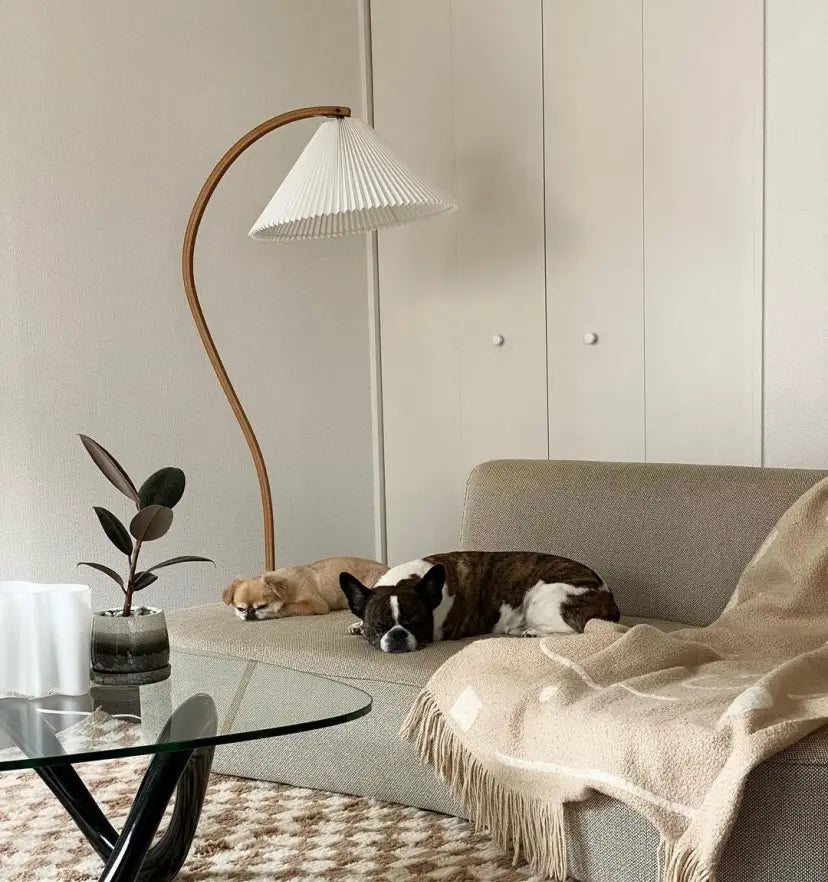 Caprani Floor Lamp - NexioPick