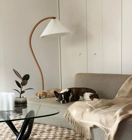 Caprani Floor Lamp - NexioPick