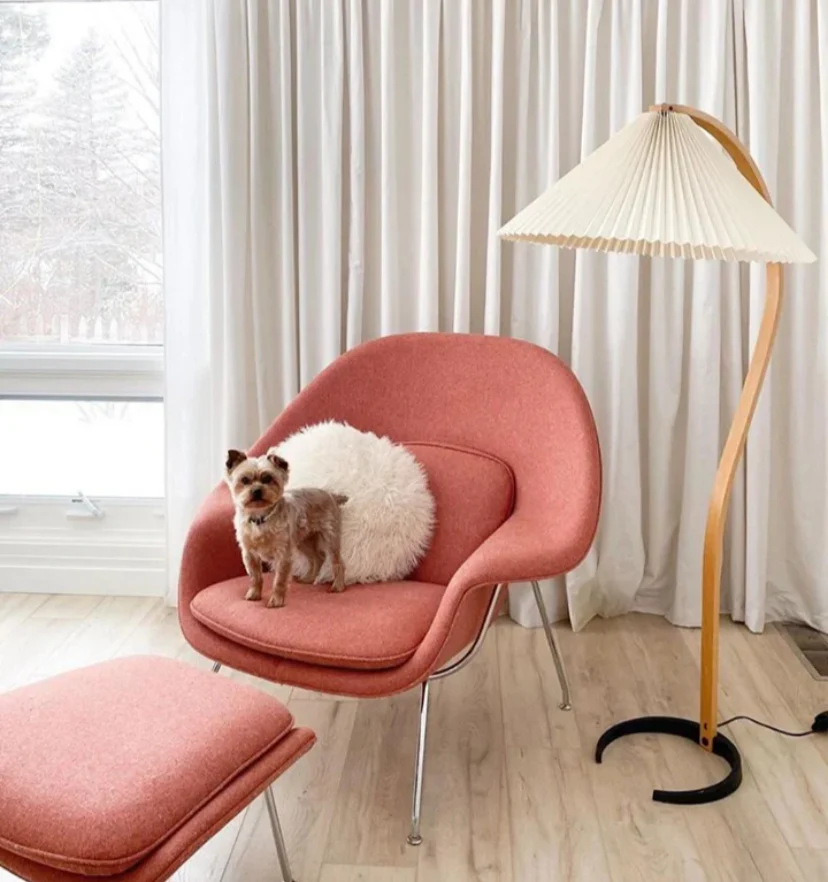 Caprani Floor Lamp - NexioPick