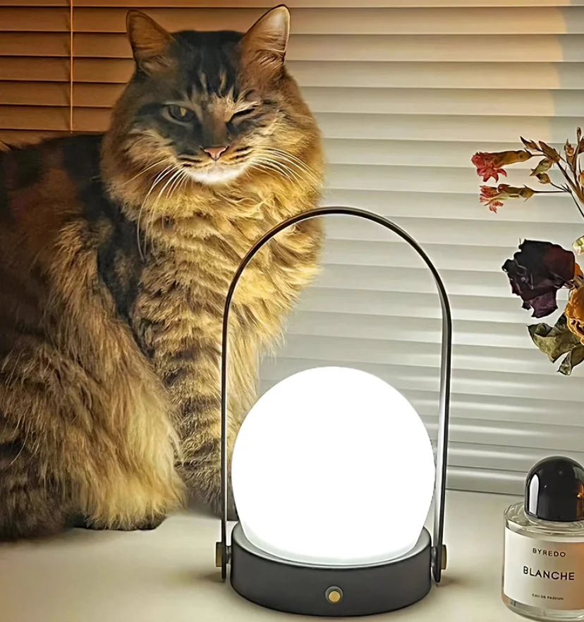 Carrie Built-in Battery Table Lamp - NexioPick