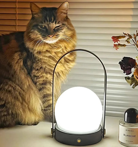 Carrie Built-in Battery Table Lamp - NexioPick