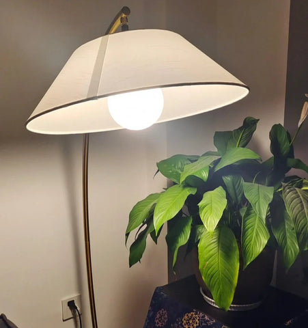 Circo Floor Lamp - NexioPick