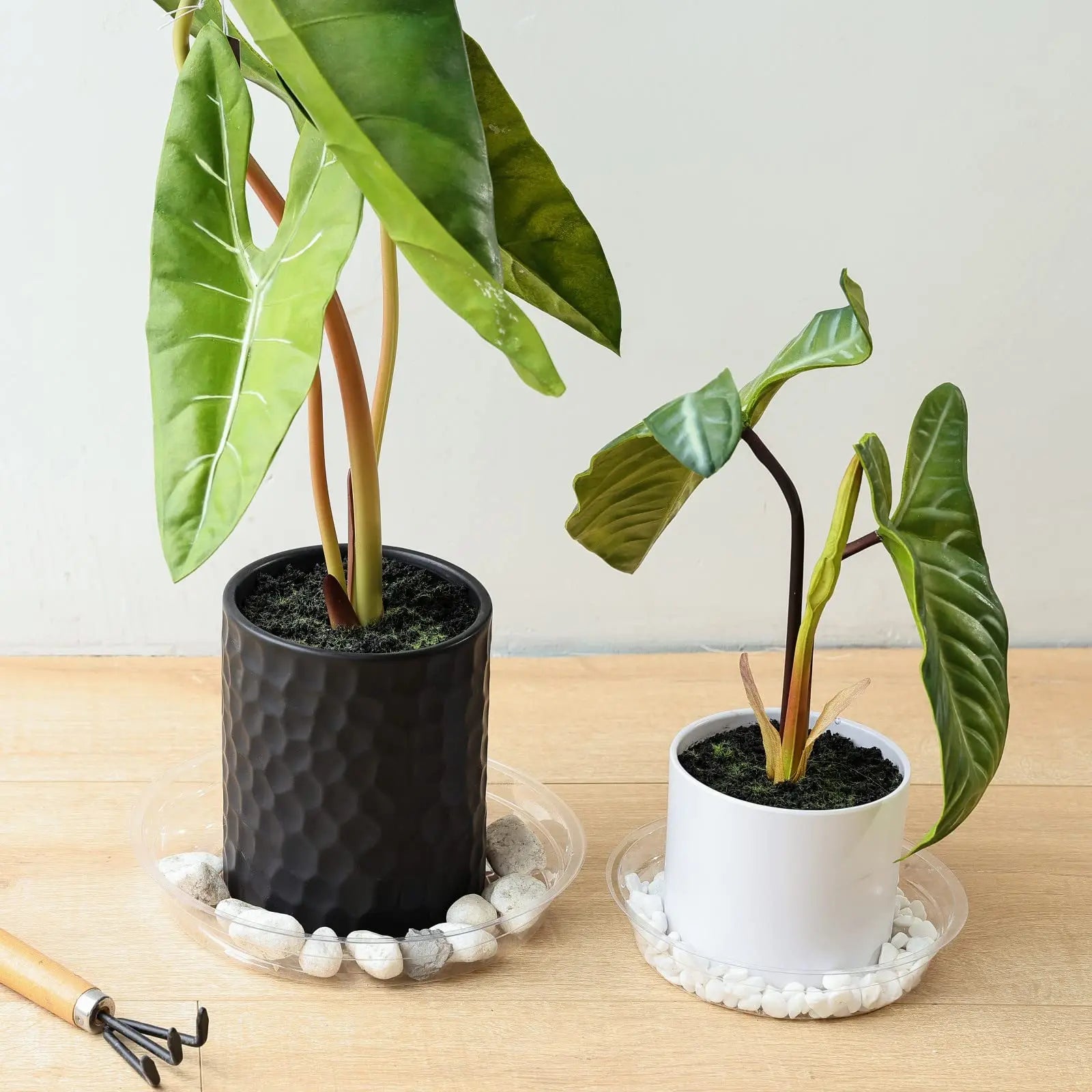 4-Size Clear Plant Saucers – Multi-Pack Drip Trays for Indoor & Outdoor Use (5 of Each Size)