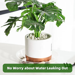 4-Size Clear Plant Saucers – Multi-Pack Drip Trays for Indoor & Outdoor Use (5 of Each Size)