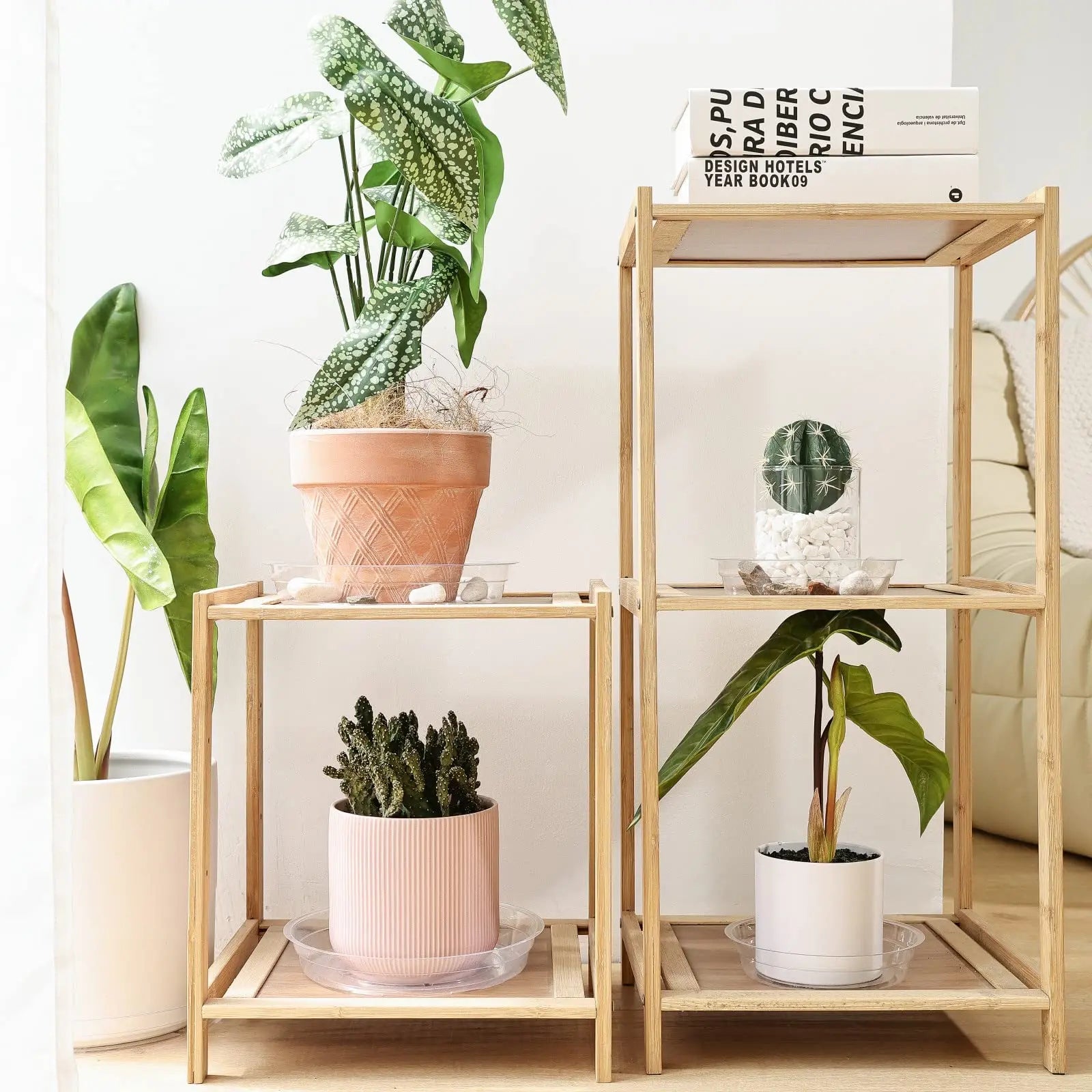 4-Size Clear Plant Saucers – Multi-Pack Drip Trays for Indoor & Outdoor Use (5 of Each Size)