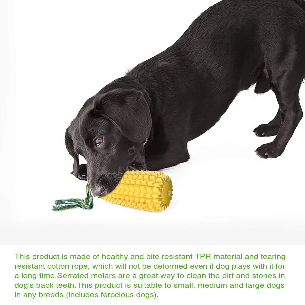 Indestructible Dog Chew Toy – Durable Squeaky Corn Stick for Aggressive Chewers