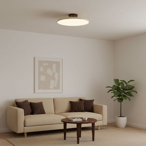 Drift Adjustable Ceiling Lamp - NexioPick