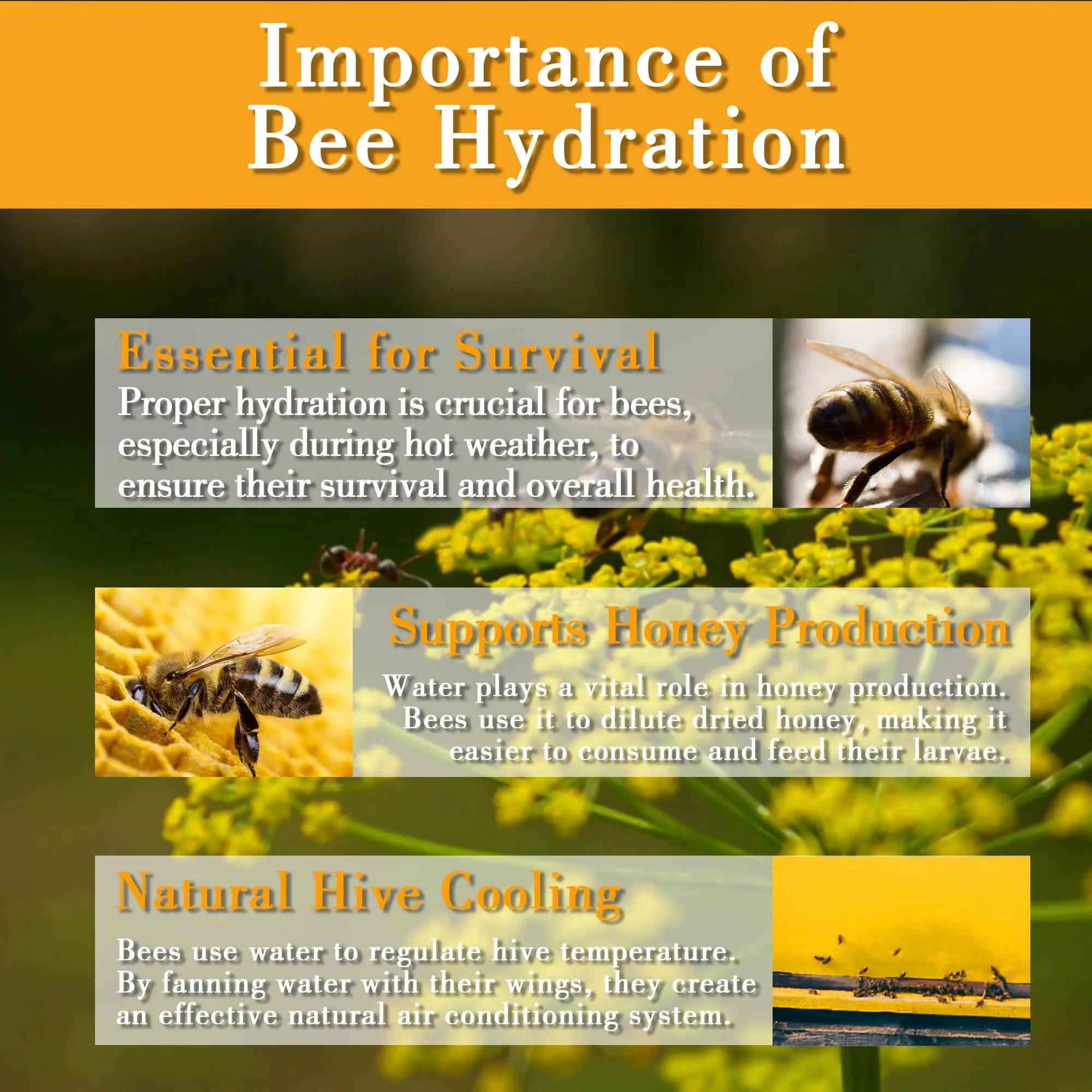 4-Pack Floating Bee Waterer Islands – Safe Drinking Station for Bees & Butterflies, Garden Pollinator Support