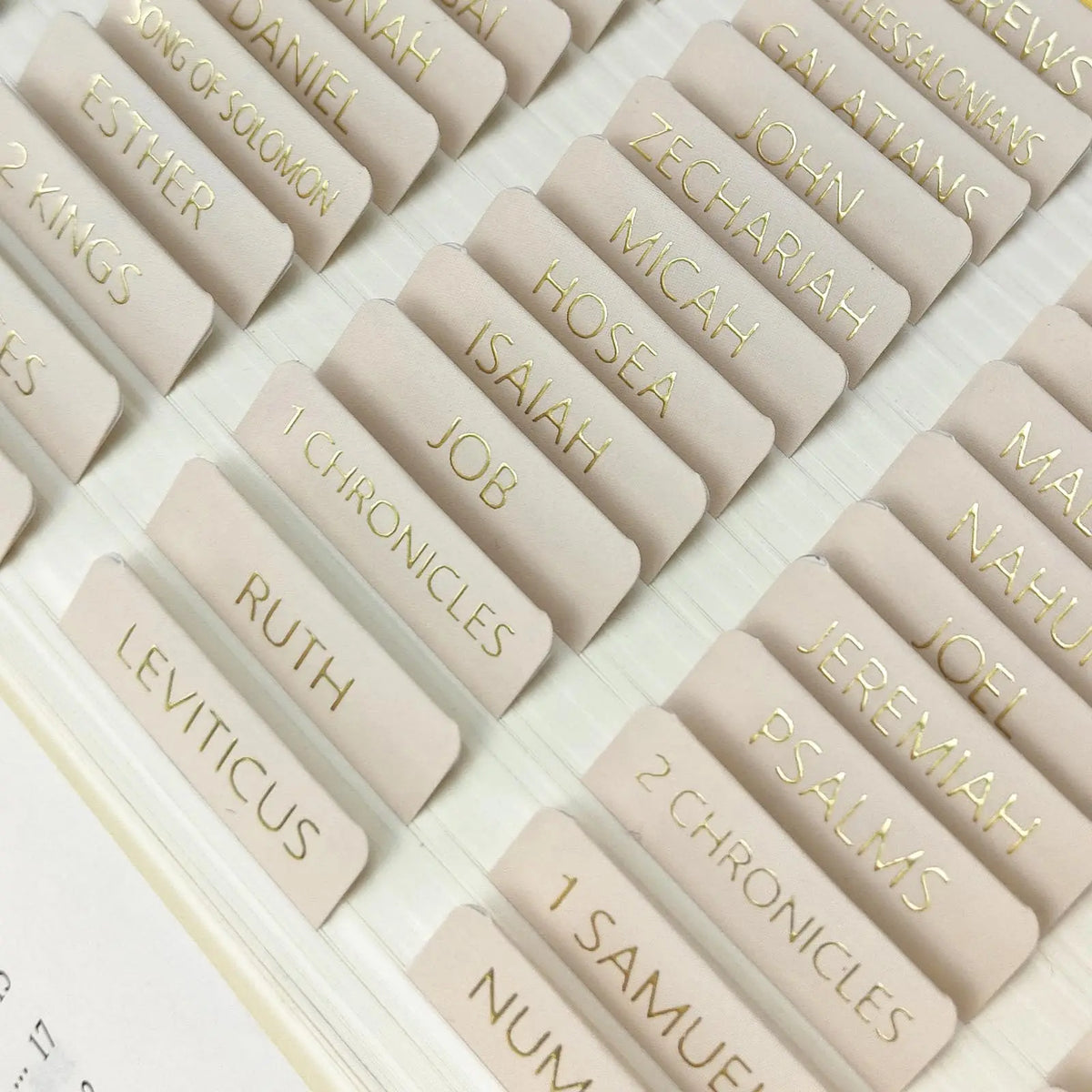 Elegant Laminated Bible Tabs for Women and Men – Bible Study Tabs, Bible Study Journaling Supplies, Bible Book Index Tabs