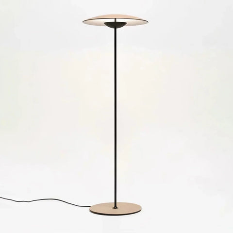 Innovative Directional Floor Lamp - NexioPick
