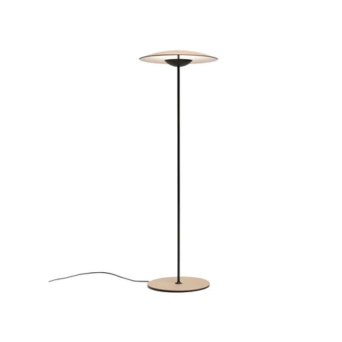 Innovative Directional Floor Lamp - NexioPick