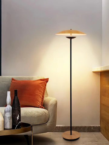 Innovative Directional Floor Lamp - NexioPick