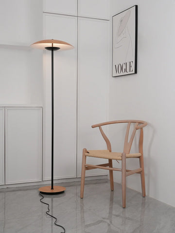 Innovative Directional Floor Lamp - NexioPick