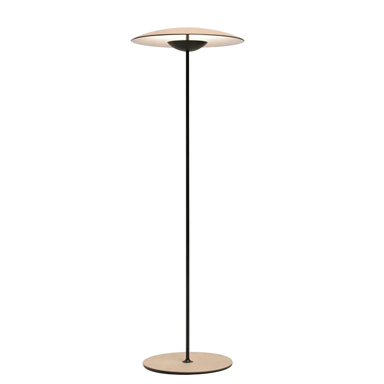 Innovative Directional Floor Lamp - NexioPick