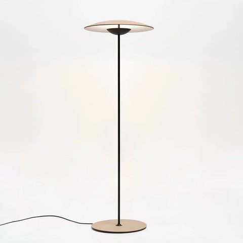Innovative Directional Floor Lamp - NexioPick