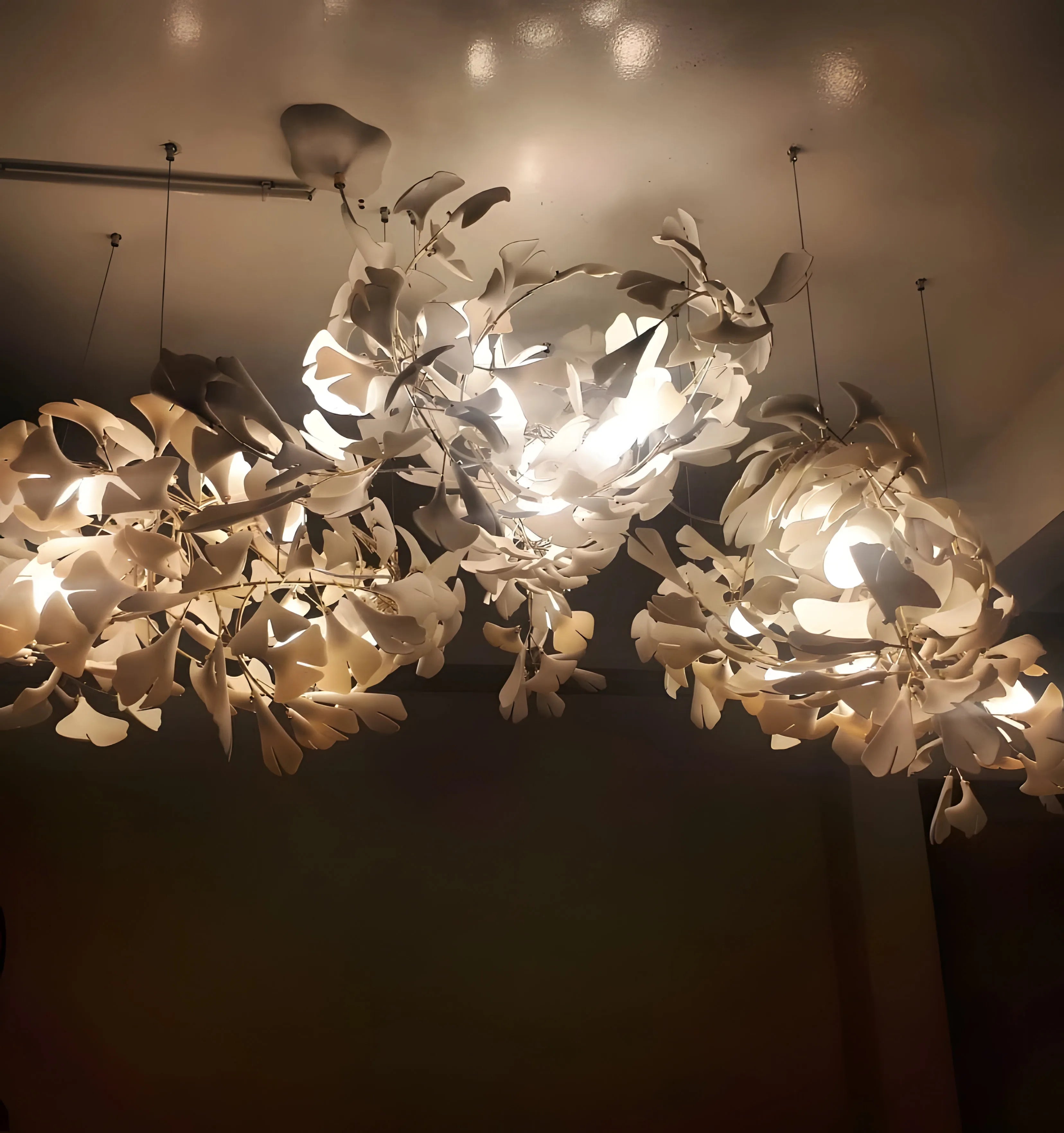 Gingko Chandelier E - NexioPick