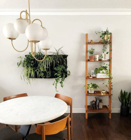 Gooseneck Chandelier - NexioPick