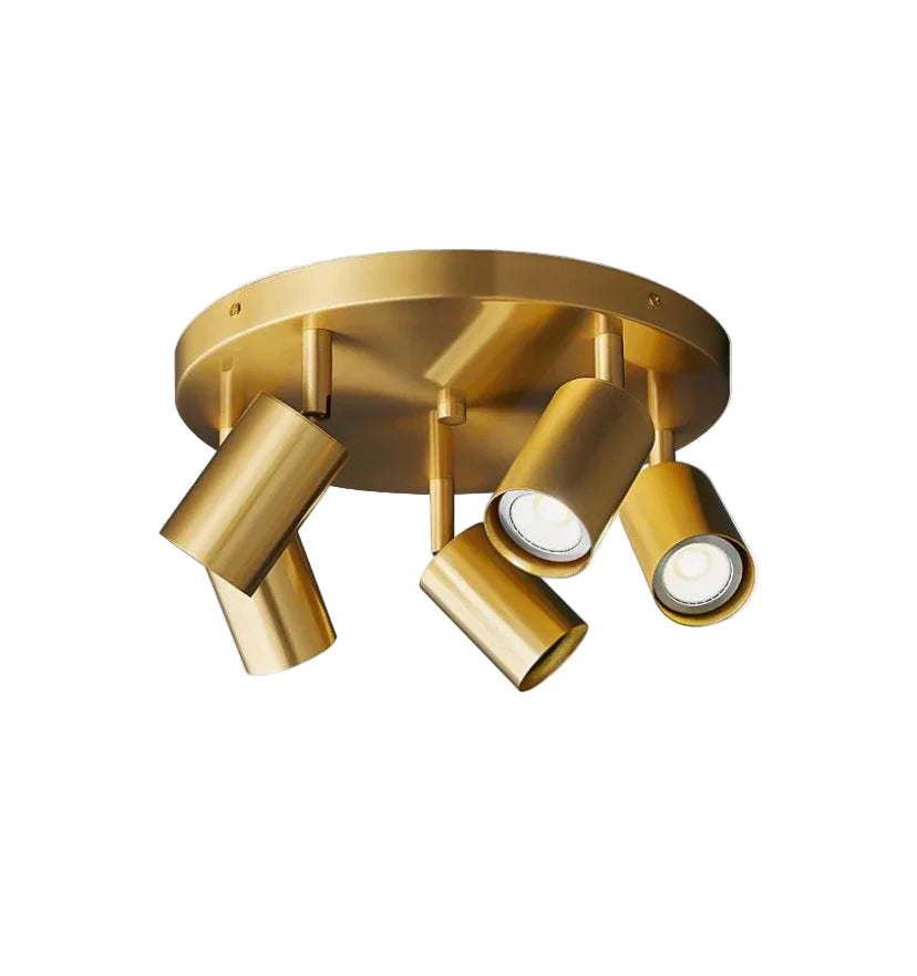 Hugo Hotspot Ceiling Light - NexioPick