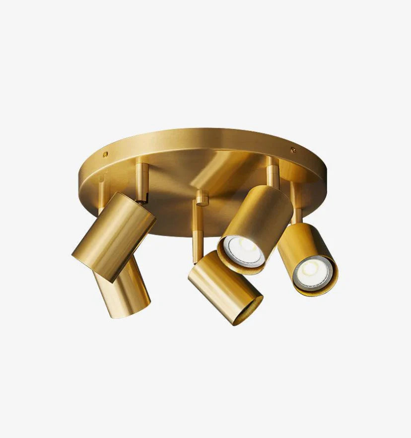 Hugo Hotspot Ceiling Light - NexioPick