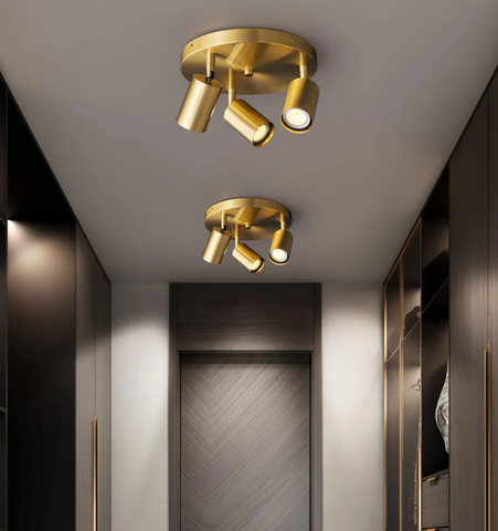 Hugo Hotspot Ceiling Light - NexioPick