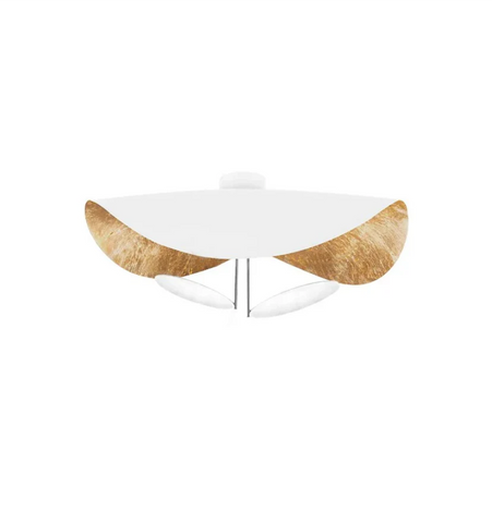 Giorgio Ceiling Light - NexioPick