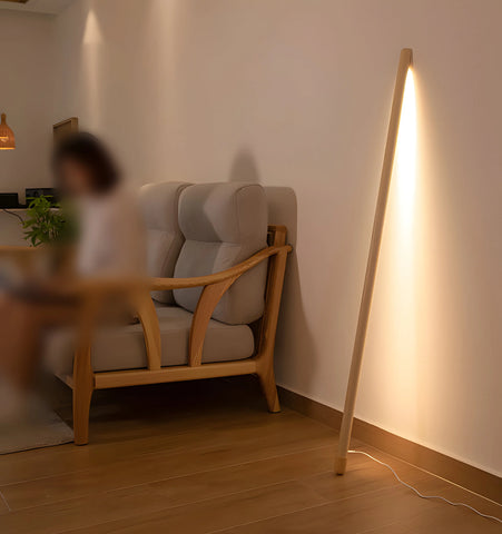 Line Assist Ambience Floor Lamp - NexioPick