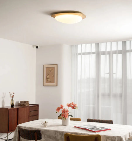 Pebble Ceiling Light - NexioPick