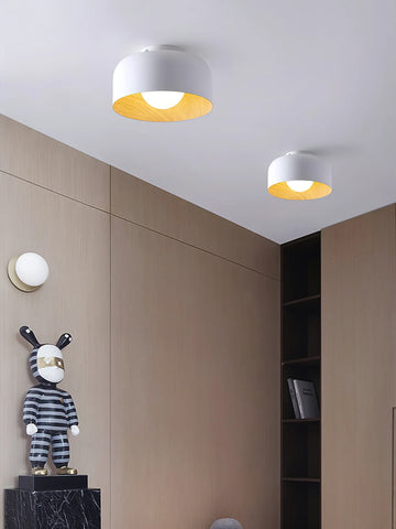 Lumosphere Ceiling Light - NexioPick