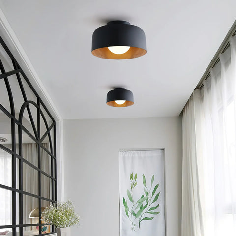 Lumosphere Ceiling Light - NexioPick