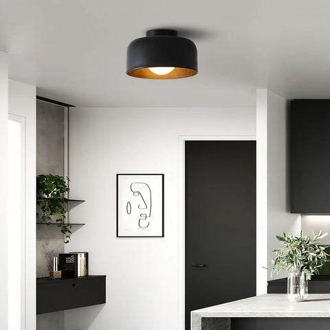 Lumosphere Ceiling Light - NexioPick