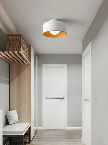 Lumosphere Ceiling Light - NexioPick